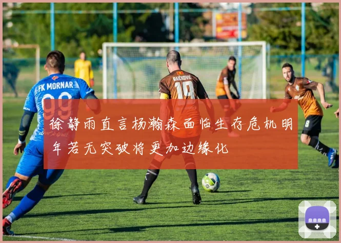 徐静雨直言杨瀚森面临生存危机明年若无突破将更加边缘化